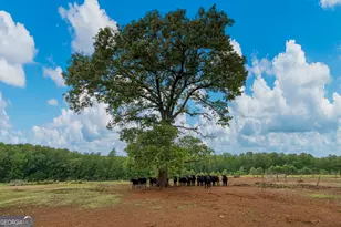 1540 Flint Hl Hwy, Shiloh, GA 31826 - Photo 60