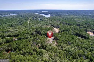 407 Thomas Dr, Eatonton, GA 31024 - Photo 58