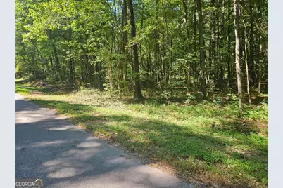 10182 Blackwell Street, Covington, GA 30014 - Photo 2