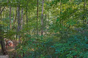 407 River Forest Dr, McDonough, GA 30252 - Photo 42