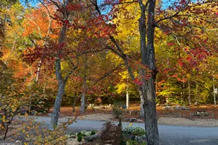 4960 Laurel Lodge Rd, Clarkesville, GA 30523 - Photo 6