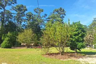 163 High Bluff Rd, Baxley, GA 31513 - Photo 32