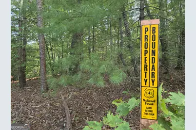 108 Dodge Lane, Lakemont, GA 30552 - Photo 6