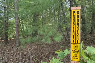 108 Dodge Ln, Lakemont, GA 30552 - Photo 6