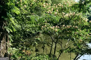 177 Antler Dr, Thomaston, GA 30286 - Photo 102