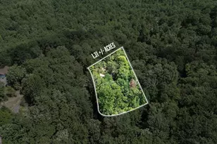 224 Dragon Tree Ln, Lakemont, GA 30552 - Photo 36