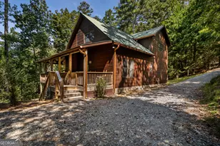 480 Palmetto Dr, Ellijay, GA 30540 - Photo 60