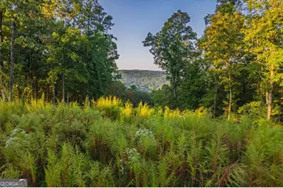 Lot 290 Anglers Ridge Road, Talking Rock, GA 30175 - Photo 1