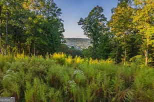 Lot 290 Anglers Ridge Rd, Talking Rock, GA 30175 - Photo 1