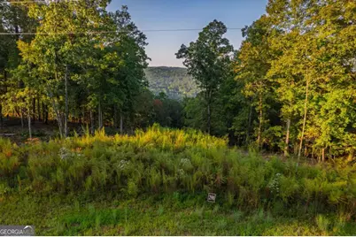 Lot 290 Anglers Ridge Road, Talking Rock, GA 30175 - Photo 12
