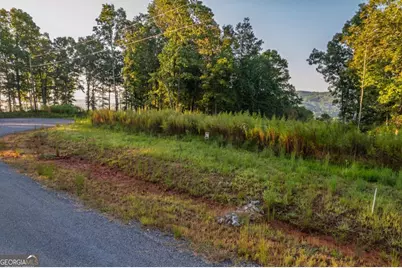 Lot 290 Anglers Ridge Road, Talking Rock, GA 30175 - Photo 8