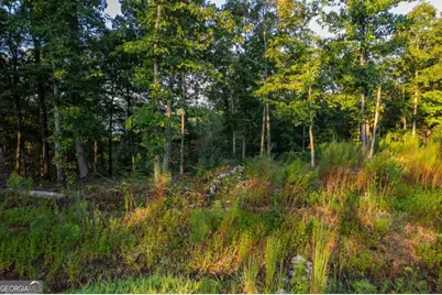 Lot 290 Anglers Ridge Road, Talking Rock, GA 30175 - Photo 10