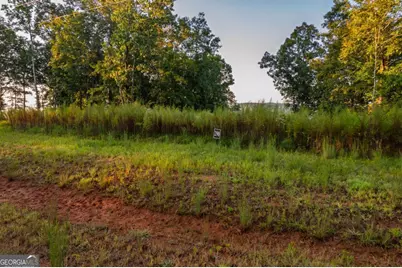 Lot 290 Anglers Ridge Road, Talking Rock, GA 30175 - Photo 6