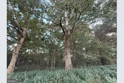 9 W L Williams Road, Commerce, GA 30530 - Photo 12