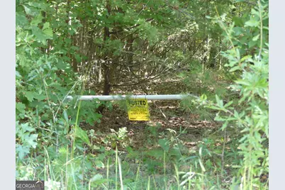 Lots 1 &amp; 2 Twin Knolls Trail, Martin, GA 30557 - Photo 16