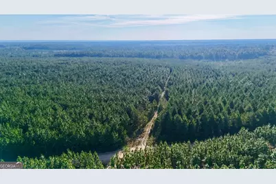 Tracts 10 and 1 Penny Morris Road, Baxley, GA 31513 - Photo 4