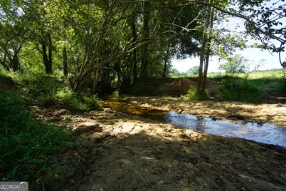 260.66 Ac Bohannon Road, Grantville, GA 30220 - Photo 18