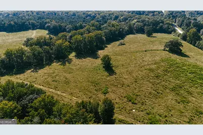 260.66 Ac Bohannon Road, Grantville, GA 30220 - Photo 6