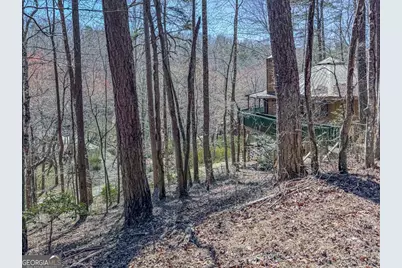 230 Tanglewood Drive #5B6B14B3B, Blue Ridge, GA 30513 - Photo 26