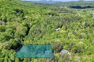 43 Melton Dr, Blairsville, GA 30512 - Photo 46