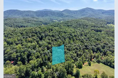 330 Coosa Run, Blairsville, GA 30512 - Photo 74