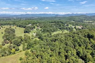 330 Coosa Run, Blairsville, GA 30512 - Photo 72