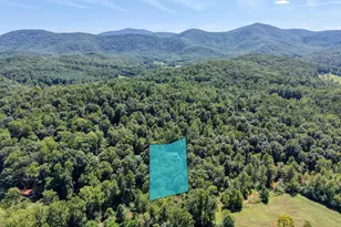 330 Coosa Run, Blairsville, GA 30512 - Photo 70