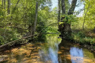 330 Coosa Run, Blairsville, GA 30512 - Photo 14