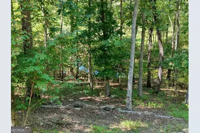 330 Coosa Run, Blairsville, GA 30512 - Photo 58
