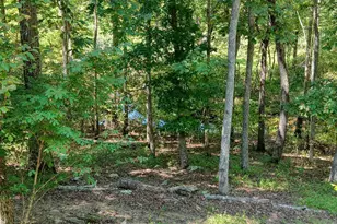 330 Coosa Run, Blairsville, GA 30512 - Photo 58