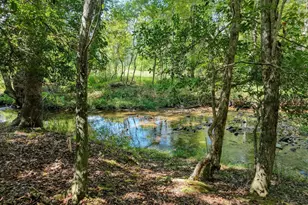 330 Coosa Run, Blairsville, GA 30512 - Photo 60