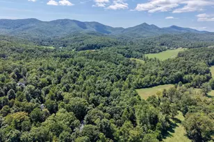 330 Coosa Run, Blairsville, GA 30512 - Photo 70