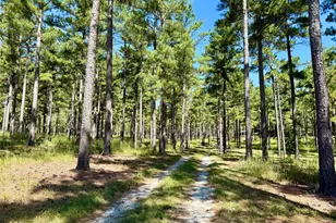 849 Orchard Rd, Pine Mountain, GA 31823 - Photo 62