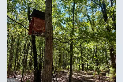 849 Orchard Road, Pine Mountain, GA 31823 - Photo 58