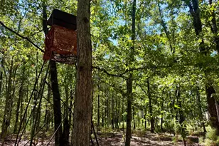 849 Orchard Rd, Pine Mountain, GA 31823 - Photo 58