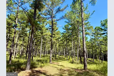 849 Orchard Road, Pine Mountain, GA 31823 - Photo 38