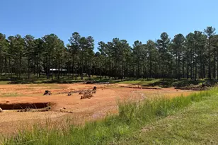 849 Orchard Rd, Pine Mountain, GA 31823 - Photo 66