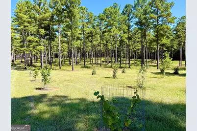 849 Orchard Road, Pine Mountain, GA 31823 - Photo 60