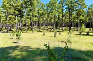 849 Orchard Rd, Pine Mountain, GA 31823 - Photo 60