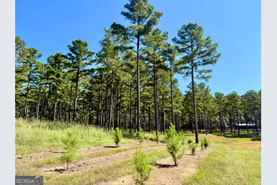 849 Orchard Road, Pine Mountain, GA 31823 - Photo 54