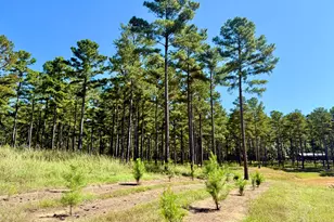 849 Orchard Rd, Pine Mountain, GA 31823 - Photo 54