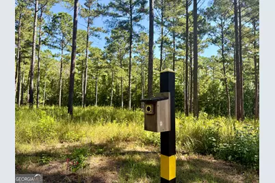 849 Orchard Road, Pine Mountain, GA 31823 - Photo 40