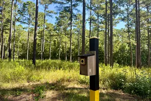 849 Orchard Rd, Pine Mountain, GA 31823 - Photo 40