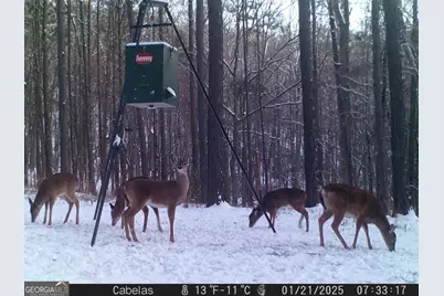 849 Orchard Road, Pine Mountain, GA 31823 - Photo 74