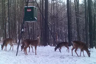 849 Orchard Rd, Pine Mountain, GA 31823 - Photo 74