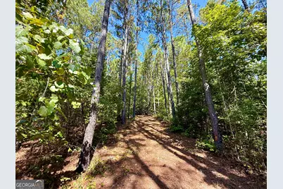 849 Orchard Road, Pine Mountain, GA 31823 - Photo 48