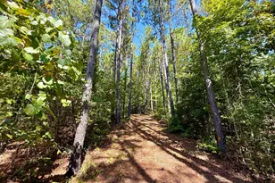 849 Orchard Rd, Pine Mountain, GA 31823 - Photo 48