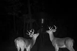 849 Orchard Rd, Pine Mountain, GA 31823 - Photo 78