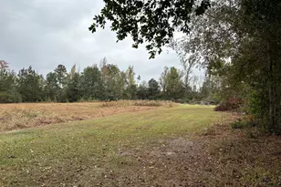 1533 W River Rd, Rhine, GA 31077 - Photo 36