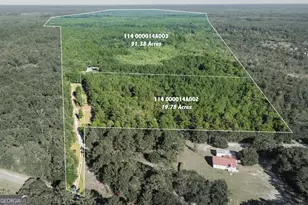 1910 Old Groveland Rd, Pembroke, GA 31321 - Photo 2